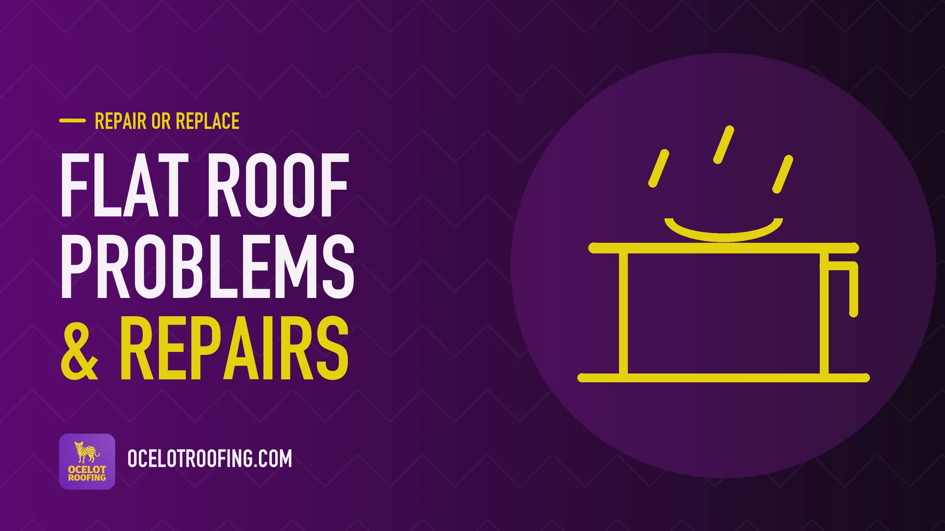 Ocelot Roofing guide graphic: Flat roof problems & repairs