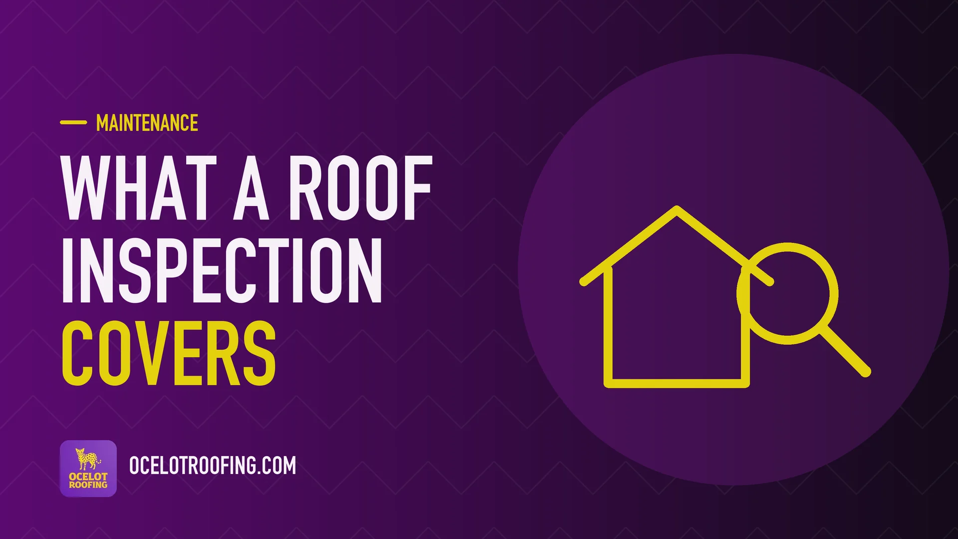 Ocelot Roofing guide graphic: What a roof inspection covers